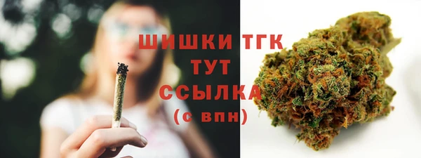 стаф Абинск