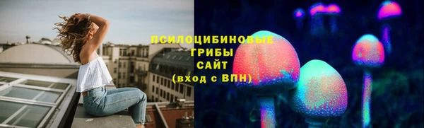 стаф Абинск