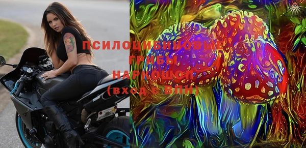 стаф Абинск